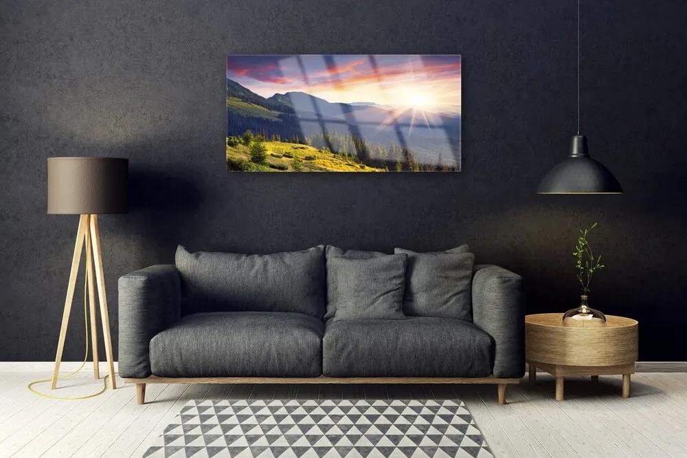 Quadro acrilico Paesaggio del sole della montagna della foresta 100x50 cm