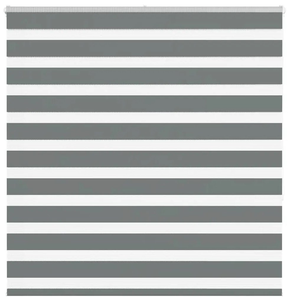 Tenda A Rullo Zebra Larghezza Tessuto 145,9 Cm Poliestere /