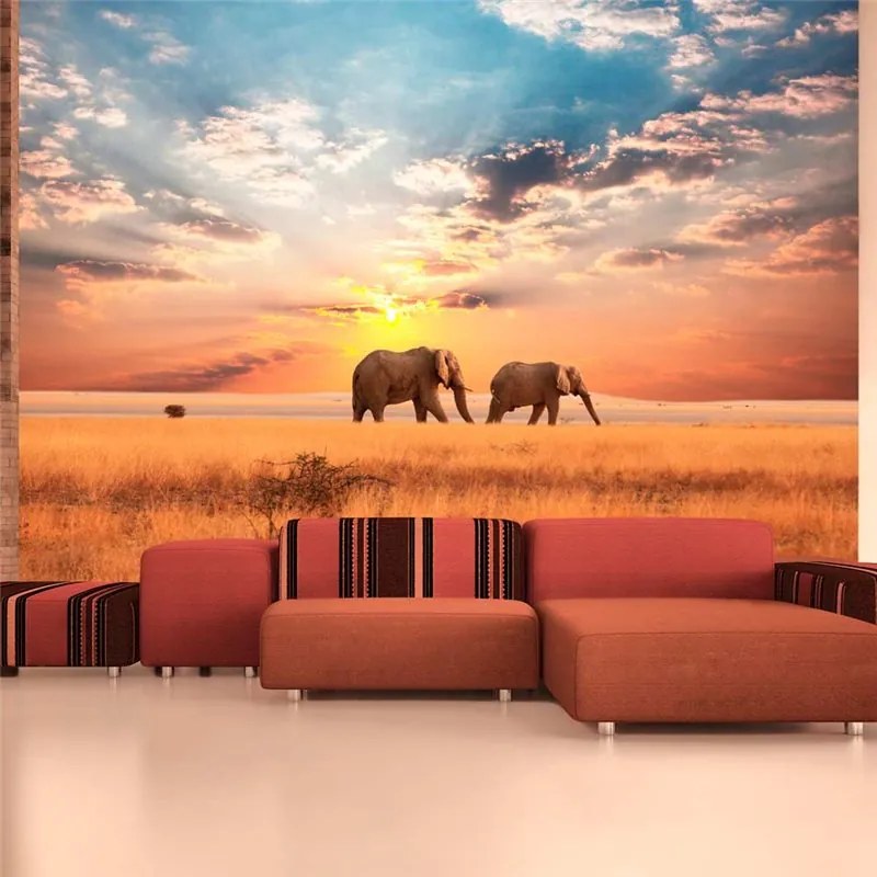 Fotomurale  Elefanti nella savana africana  Colore Grigio, Dimensioni e Misure 200x154