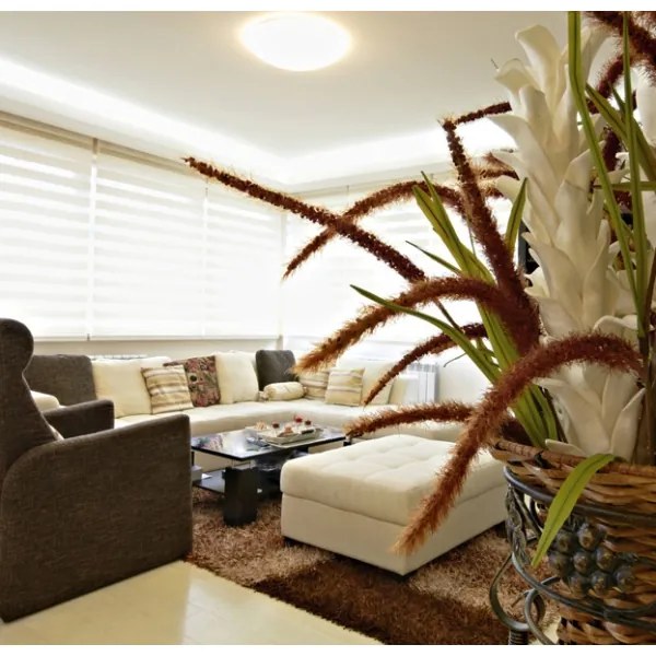 Ecolite WZSD-50W/LED - Plafoniera LED dimmerabile DIAMANT LED/50W/230V + telecomando