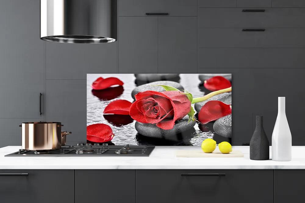 Pannello cucina paraschizzi Fiore di rosa rossa 100x50 cm
