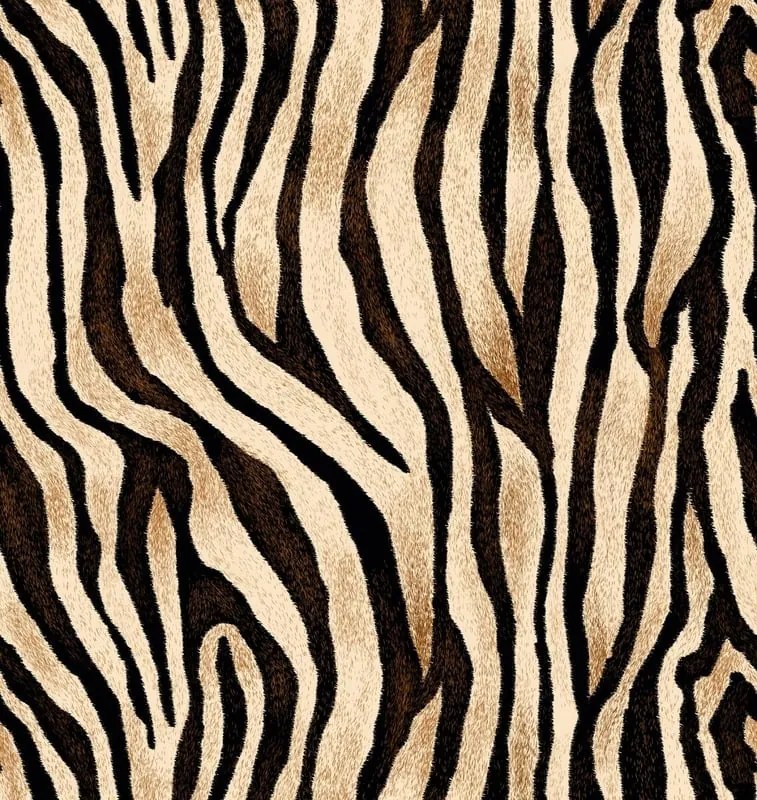 Fotomurale Leopard, multicolore 159 x 280 cm