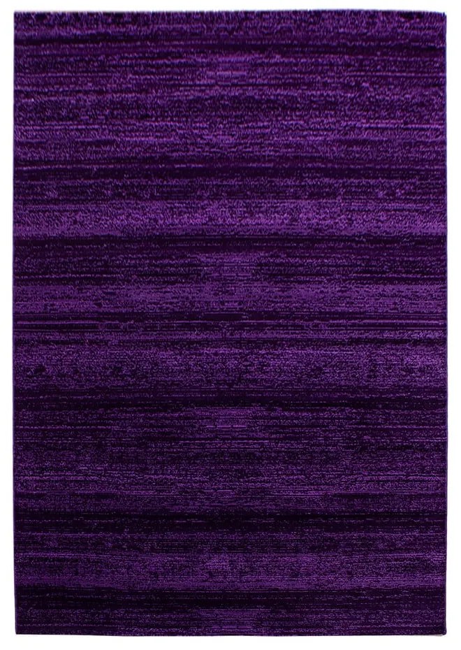 Tappeto viola scuro 80x150 cm Plus - Ayyildiz Carpets