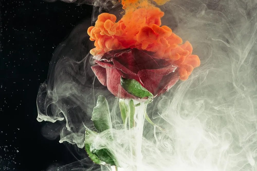 Carta da parati – Rose con elementi astratti