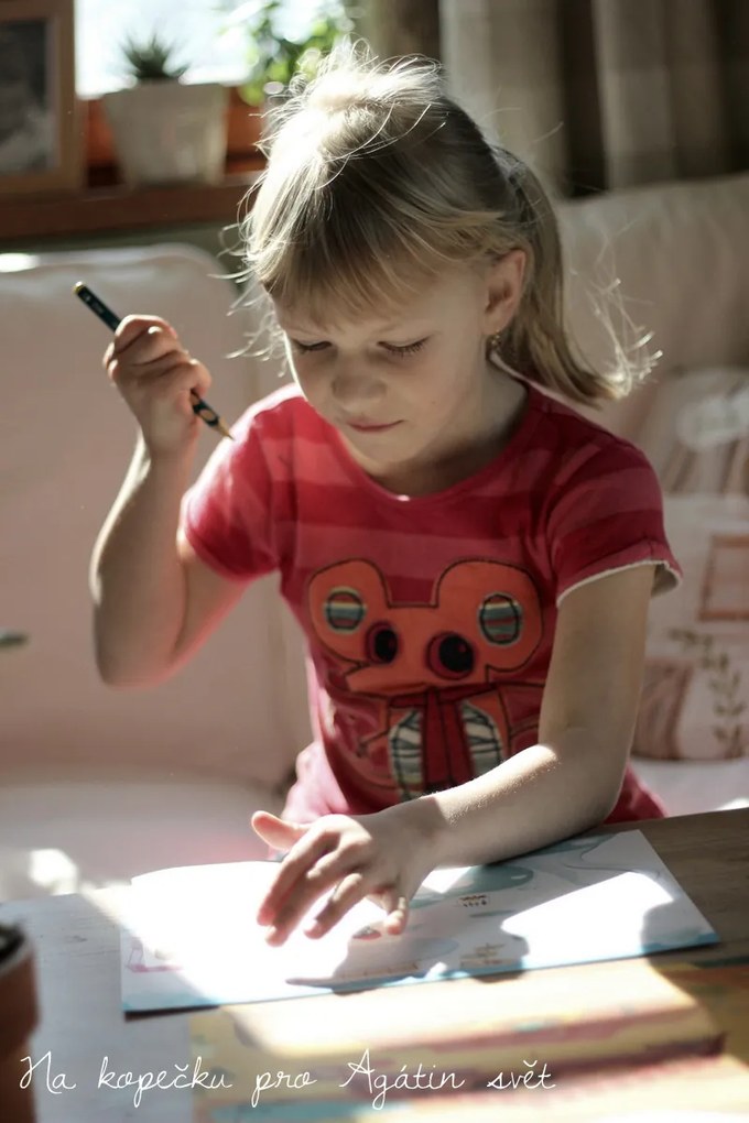 Fogli con decalcomanie - Savannah, il deserto e il Polo Nord