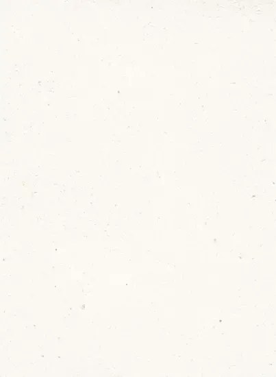 Terrastone Rustique floor - 15kg - 36 - bianco di carrara - 15 kg
