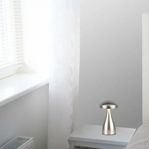 LED Lampada da tavolo ricaricabile dimmerabile LED/1W/5V 3000-6000K 1800 mAh argento