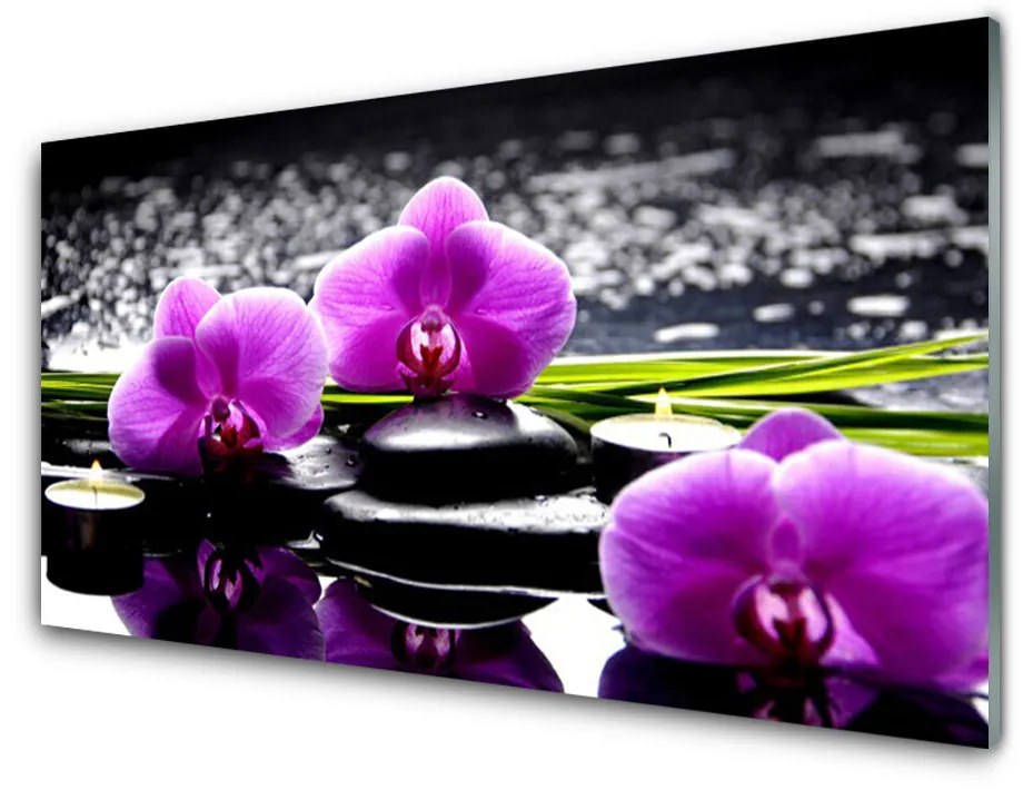 Quadro vetro Pianta di orchidea da fiore 100x50 cm