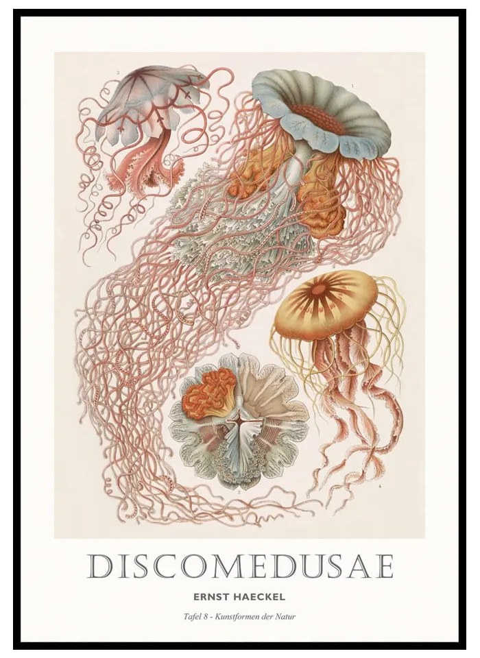 Dipinto 50x70 cm Tafel – Malerifabrikken