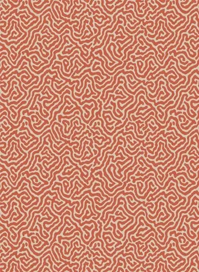 Cole & Son Carta da parati Vermicelli - Coral