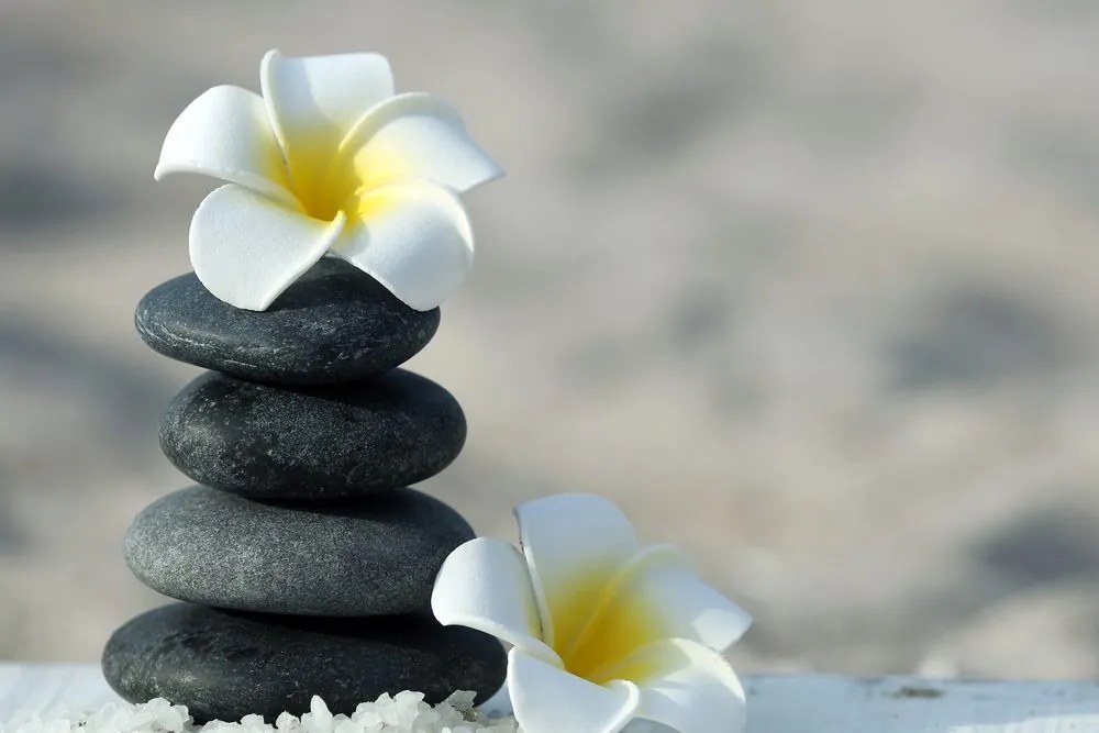 Quadro su tela – Pietre armoniche e fiore di plumeria