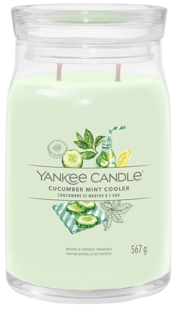 Cucumber Mint Cooler, candela in giara grande Yankee Candle