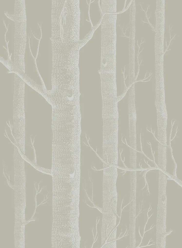Woods - Designtapete von Cole and Son - Taupe/ Weiß