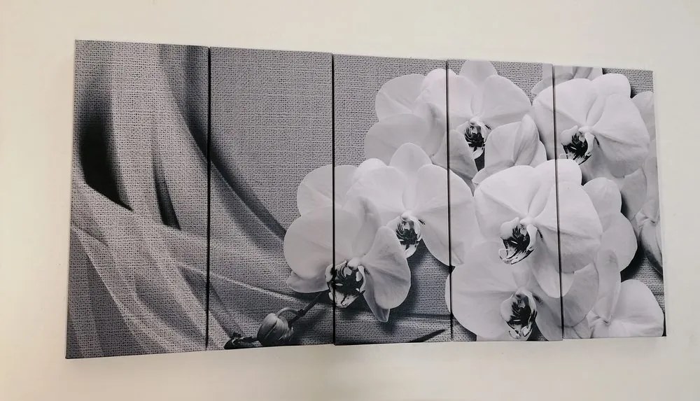Quadri 5 pezzi – Orchidea su tela in bianco e nero