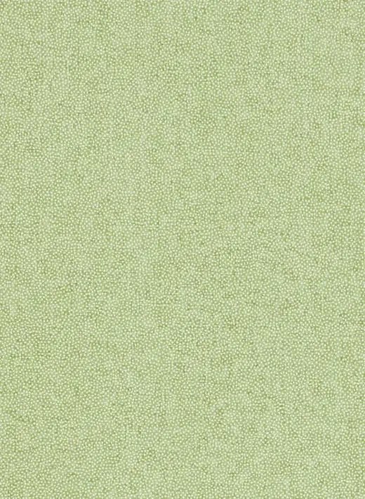 Sanderson Tapete Sessile Plain - Moss Green