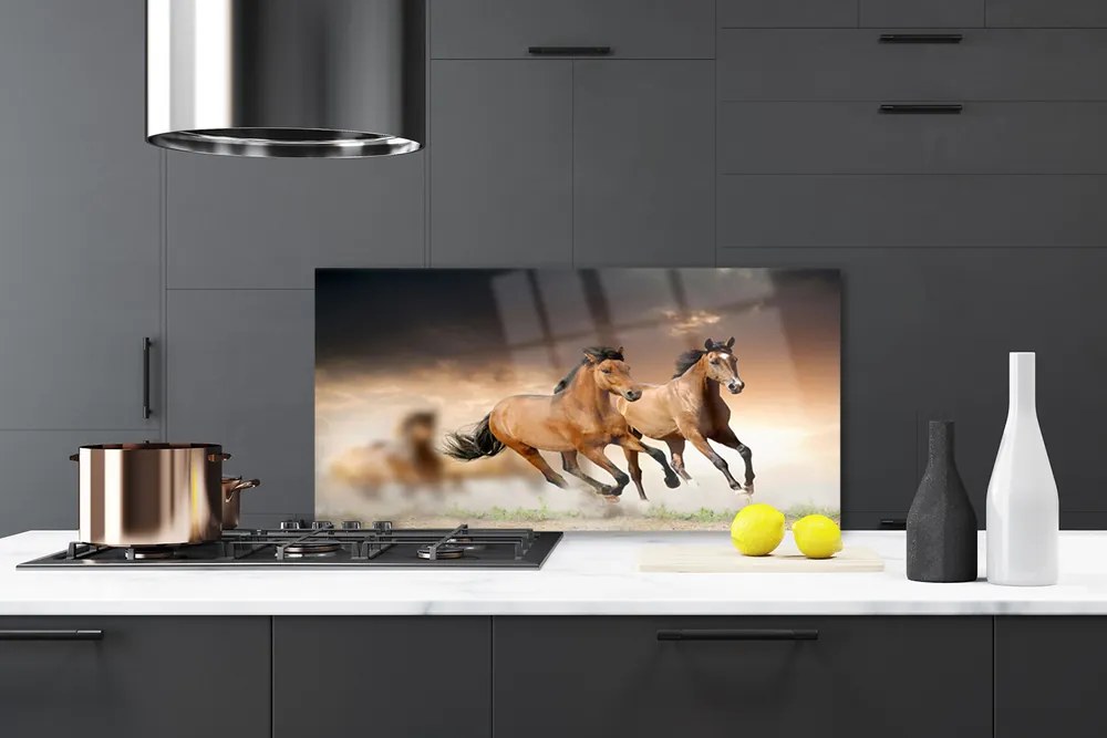 Pannello cucina paraschizzi Animali cavalli 140x70 cm