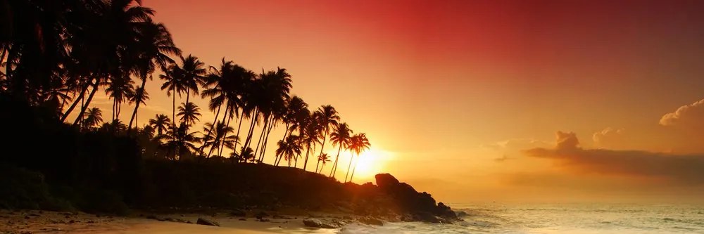 Quadro su tela – Tramonto in Sri Lanka