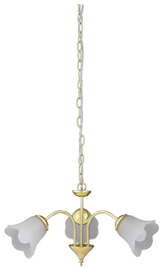 Rabalux 7233 - Lampadario a sospensione con catena RAFAELLA 3xE14/40W/230V