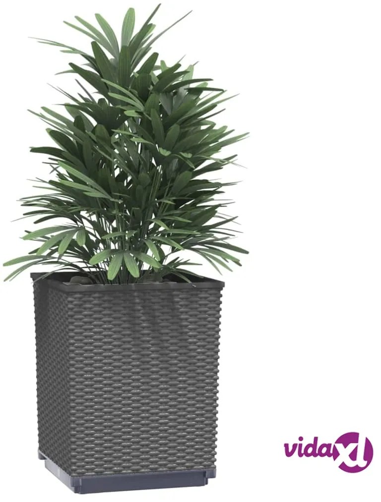 vidaXL Fioriere 4 pz Nere 30x30x37 cm in Polipropilene