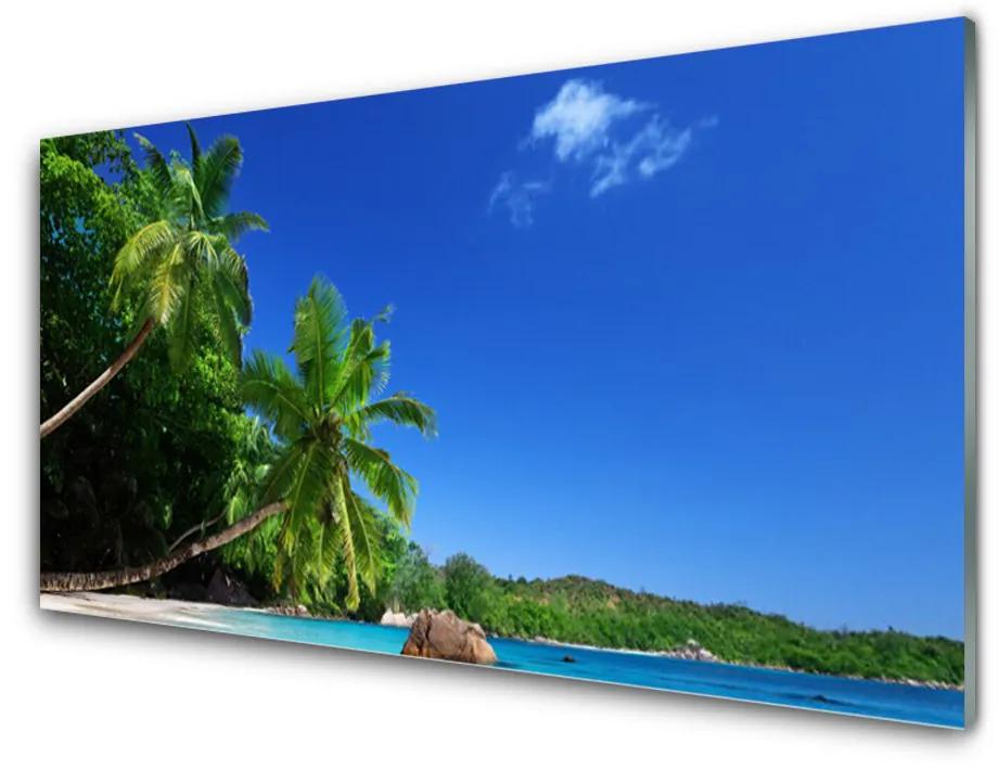Quadro di vetro Palme Spiaggia Paesaggio 100x50 cm