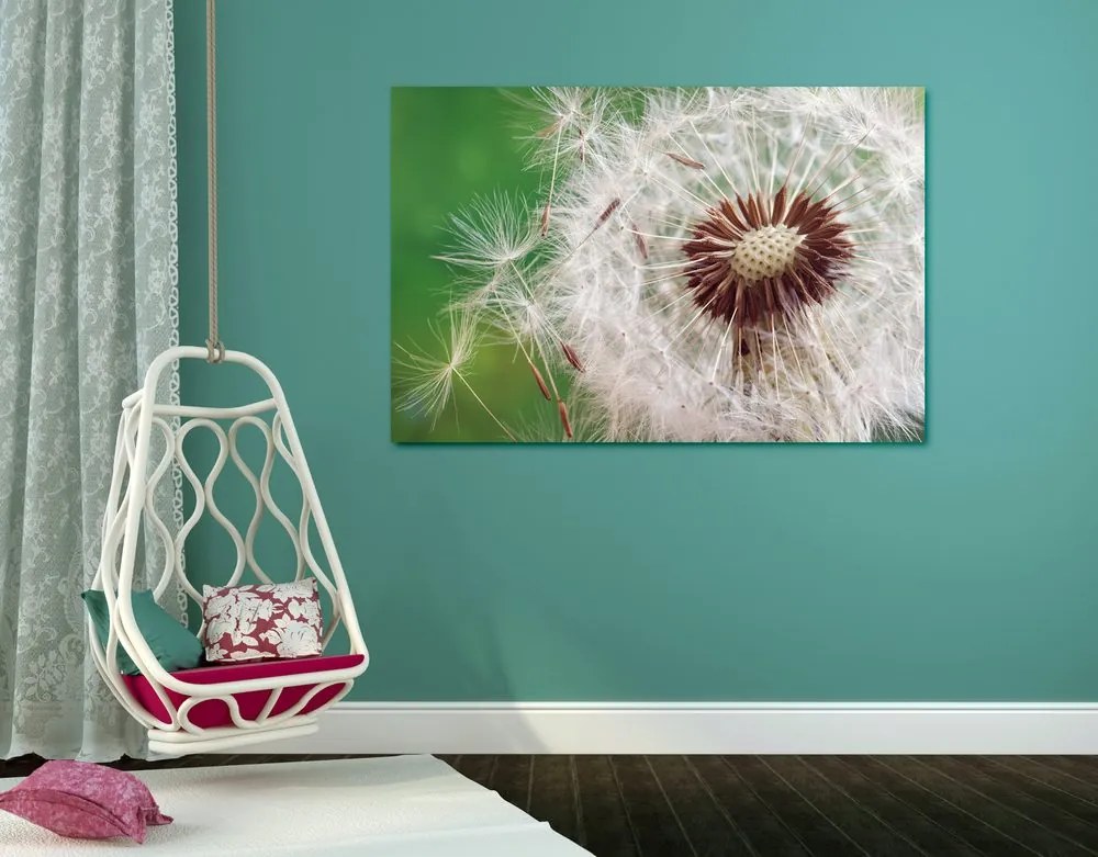 Quadro su tela – Semi di soffione