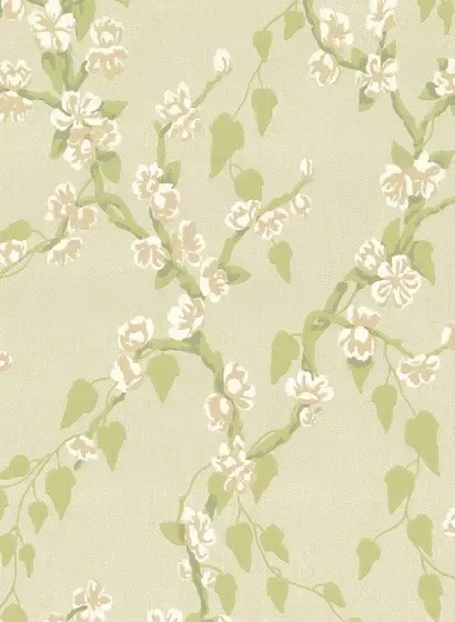 Little Greene Carta da parati Sakura - Pomme