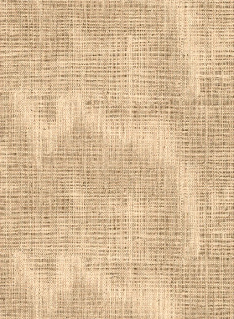 Arte International Carta da parati Nongo - Sand