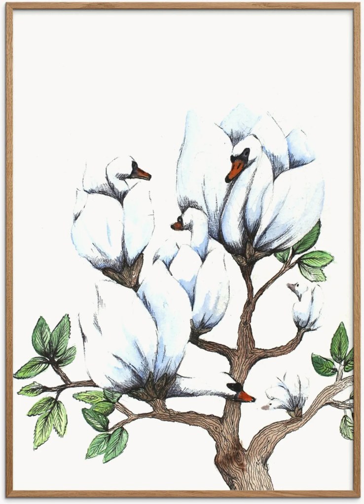 Poster incorniciato in legno di quercia Swan Magnolia