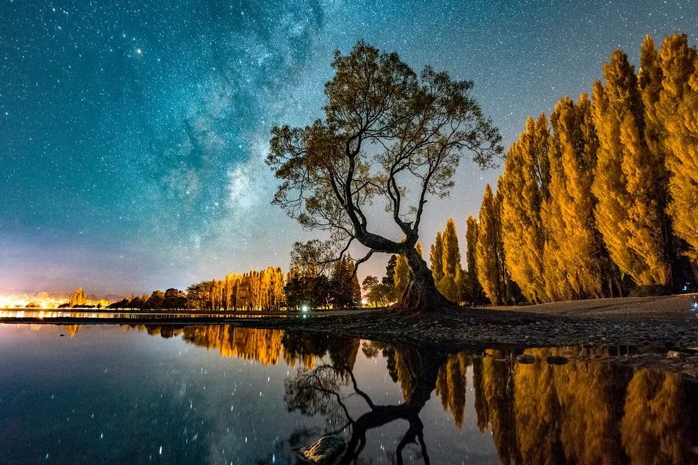 Quadro su tela – Albero sotto il cielo stellato