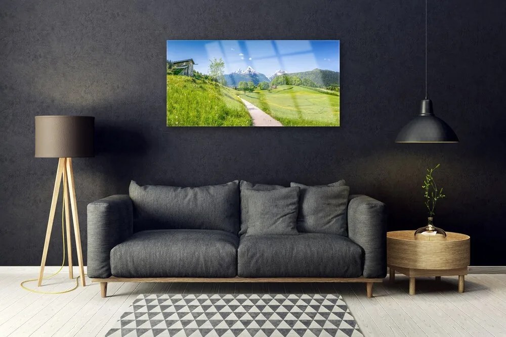 Quadro di vetro Montagne Prato Valle Sentiero 140x70 cm