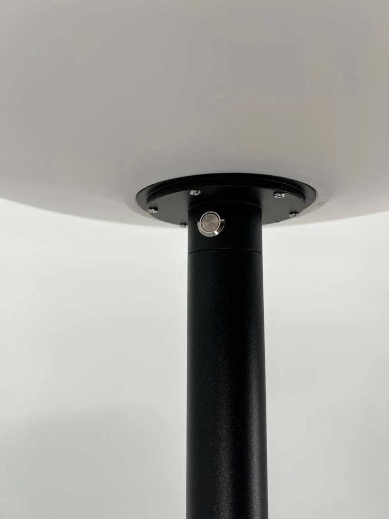 Piantana da Esterno Led ad Energia Solare LMS-D13