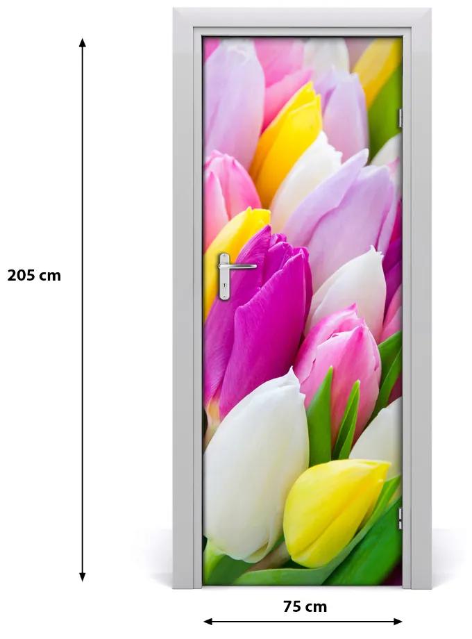 Poster adesivo per porta Tulipani colorati 75x205 cm