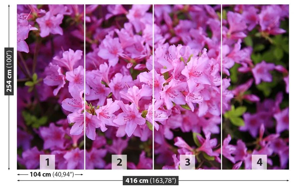 Carta da parati Rhododendron Pink 104x70 cm