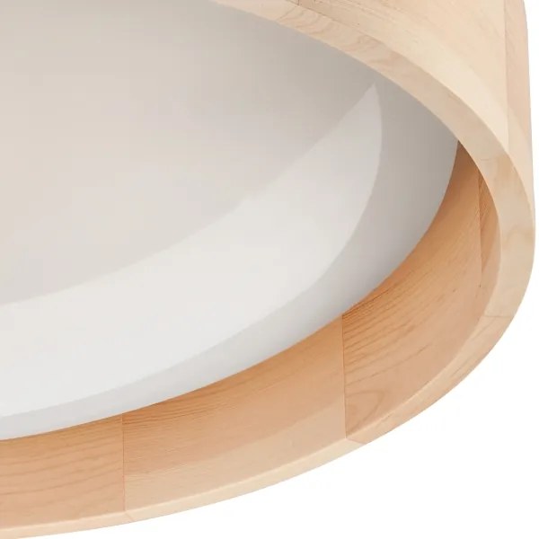 Brilagi - Plafoniera LED dimmerabile MANAROLA LED/24W/230V + telecomando