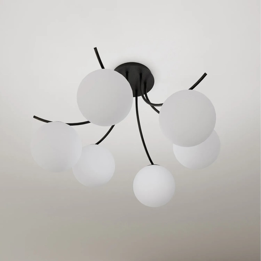 Plafoniera Moderna 6 Luci Coeo In Acciaio Nero E Diffusori In Vetro Opale