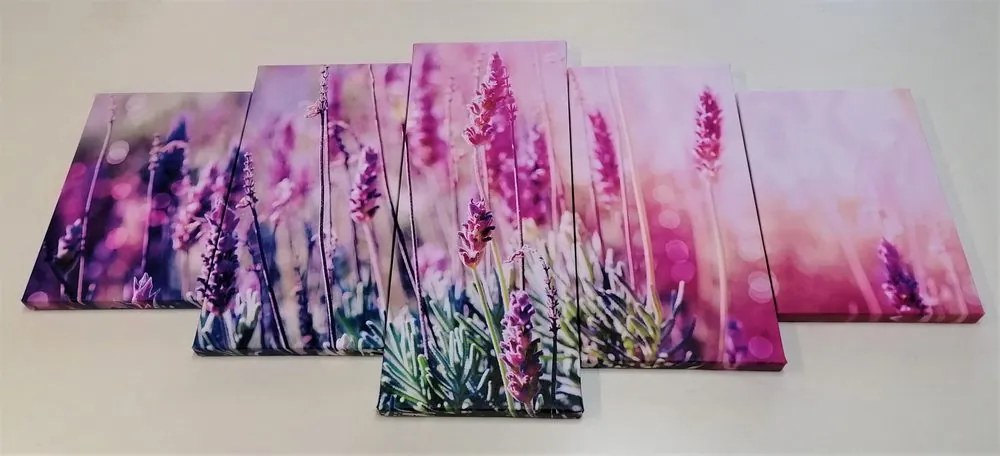 Quadri 5 pezzi – Fiori magici di lavanda