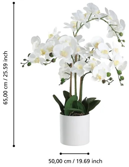 Eglo 428024 - Pianta artificiale in vaso HYUGA 65x50 cm orchidea