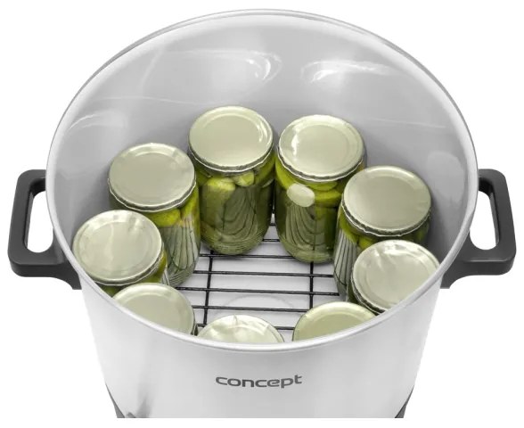 Concept ZH0030 - Conservazione della caldaia 27 l 2000W/230V bianco/nero