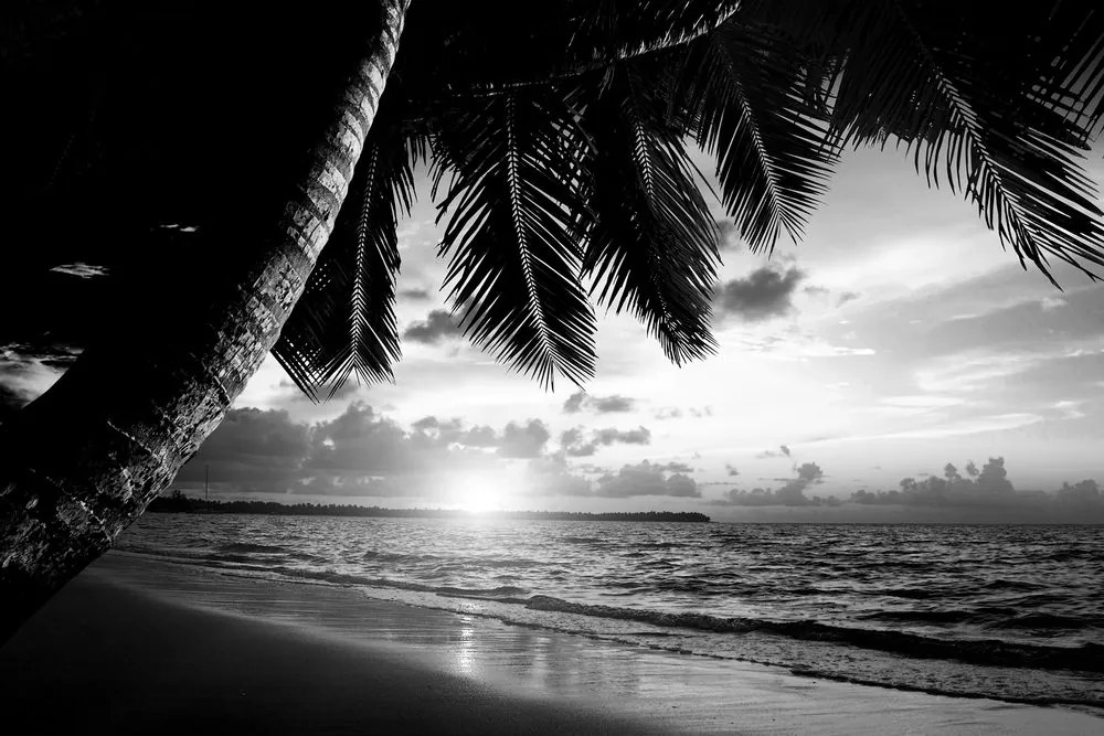Stampa su tela – Alba sulla spiaggia caraibica in bianco e nero