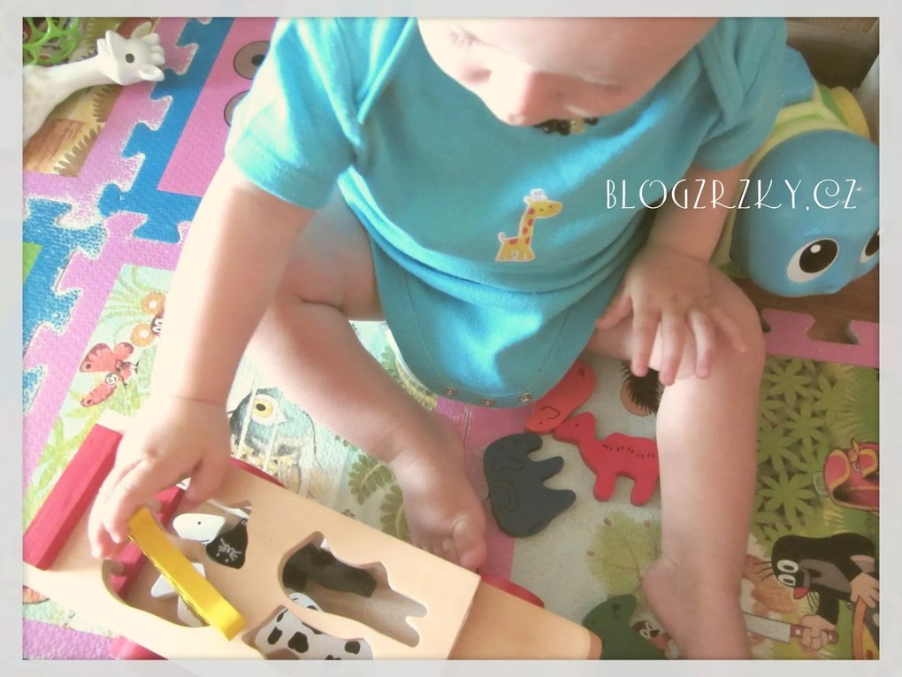 Camion con forme inseribili - animali