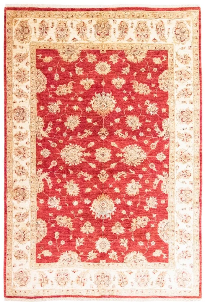 Ziegler Tappeto orientale 170x240 (Afghanistan)
