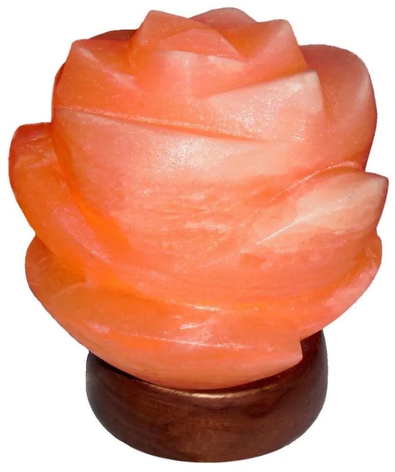 Rabalux 2676 - Lampada al sale FLORES 1xE14/15W/230V