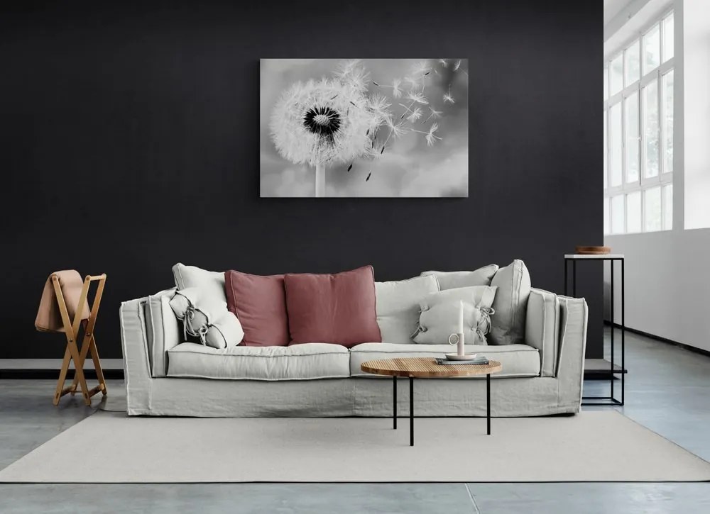 Quadro su tela – Soffione magico in bianco e nero