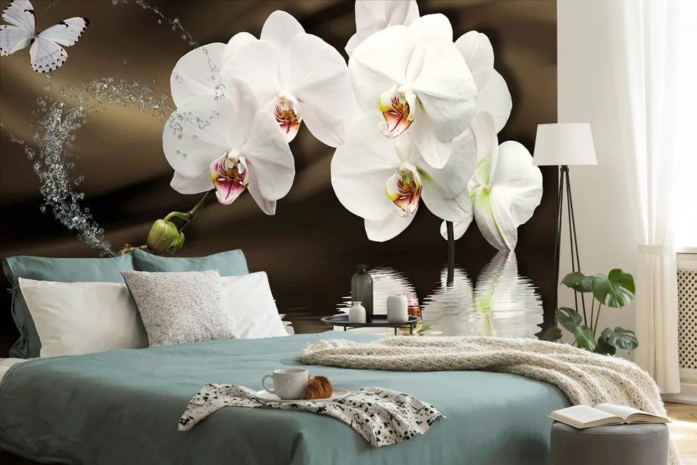 Carta da parati – Orchidea e farfalla