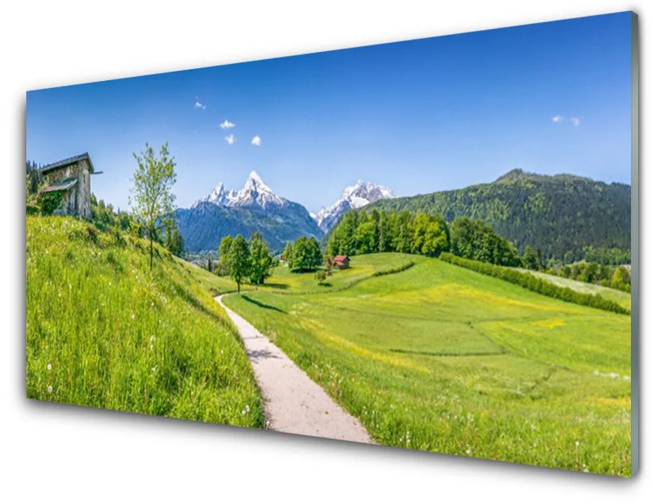 Quadro di vetro Montagne Prato Valle Sentiero 140x70 cm