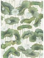Cole & Son Tapete Lily Lotus - White on Cream
