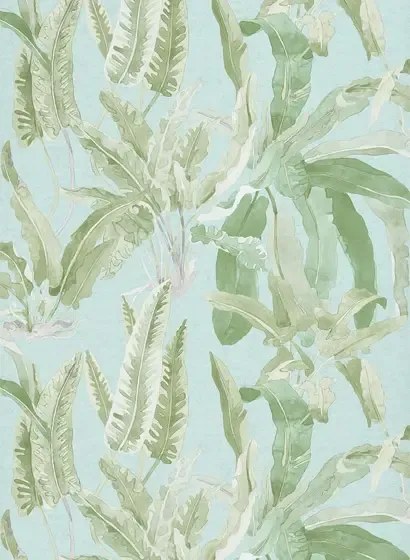 Nina Campbell Carta da parati benmore - Green/ Aqua