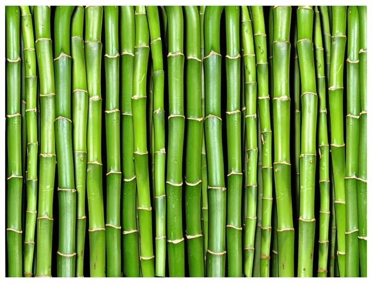 Fotomurale Parete di bambù