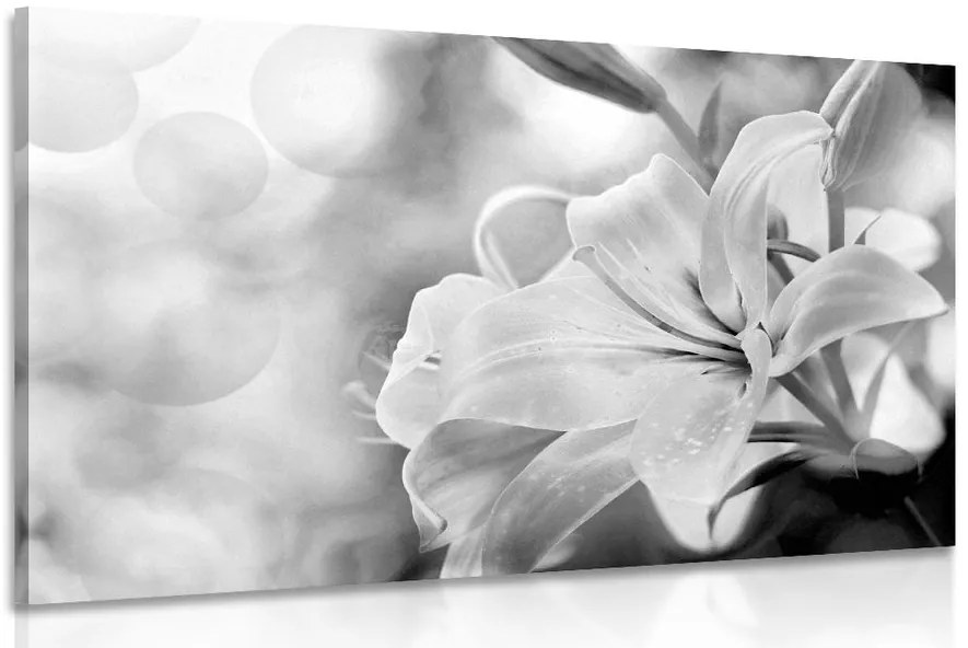 Stampa su tela – Fiore di giglio su sfondo astratto in bianco e nero