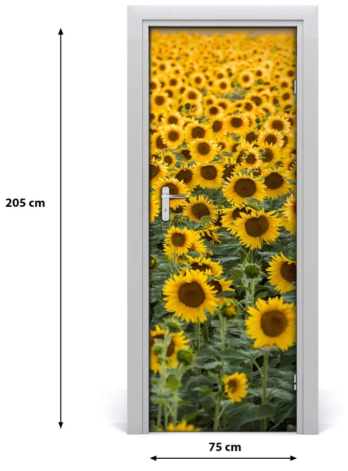 Poster adesivo per porta Campo di girasole 75x205 cm